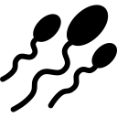 egg,nature,fertility,life,sex,sperm,fertilization